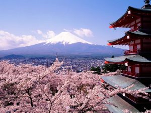 معماری ژاپن | بودا | شینتو | مراسم چایخوری