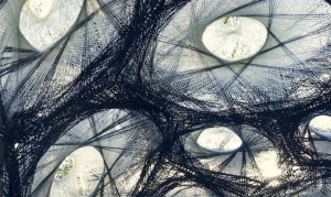 معماری بیونیک