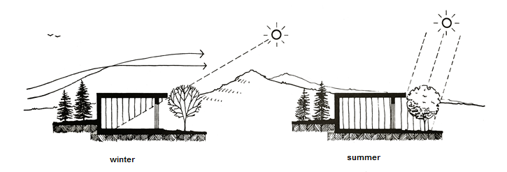 تاثیر باد بر معماری